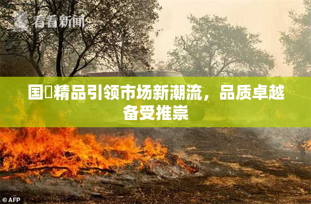 国產精品引领市场新潮流，品质卓越备受推崇