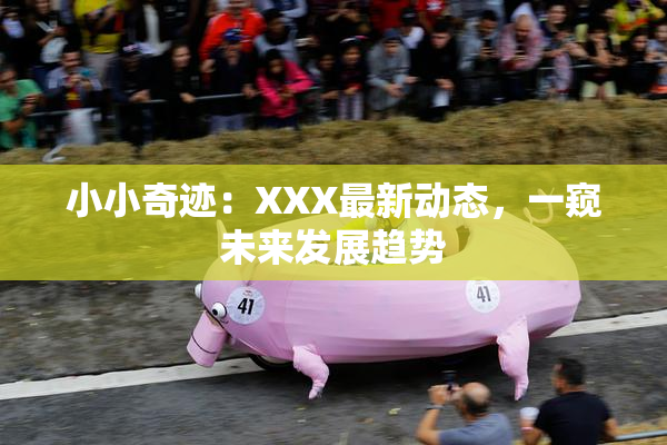 小小奇迹：XXX最新动态，一窥未来发展趋势