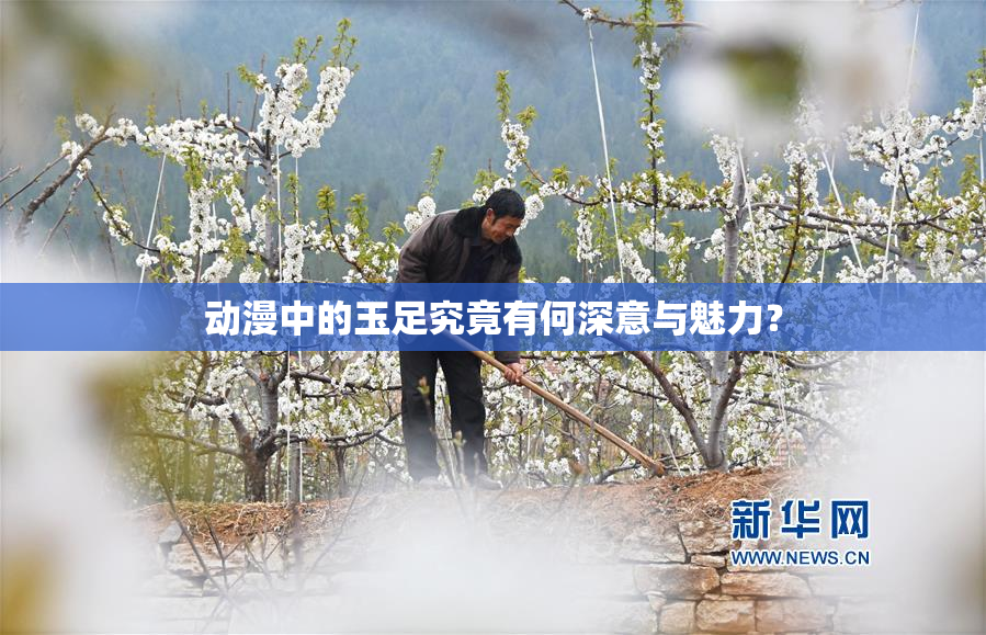 动漫中的玉足究竟有何深意与魅力？