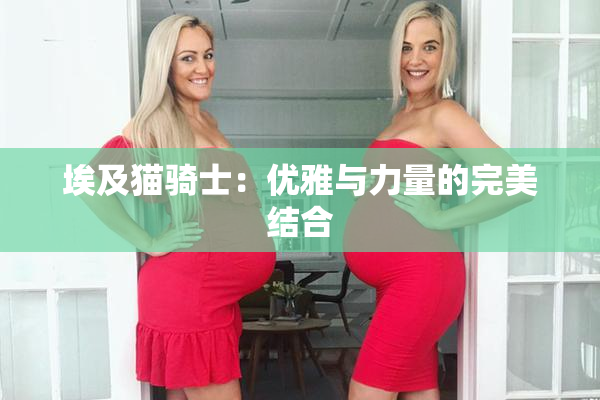 埃及猫骑士：优雅与力量的完美结合