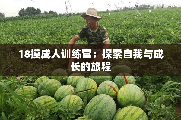 18摸成人训练营：探索自我与成长的旅程