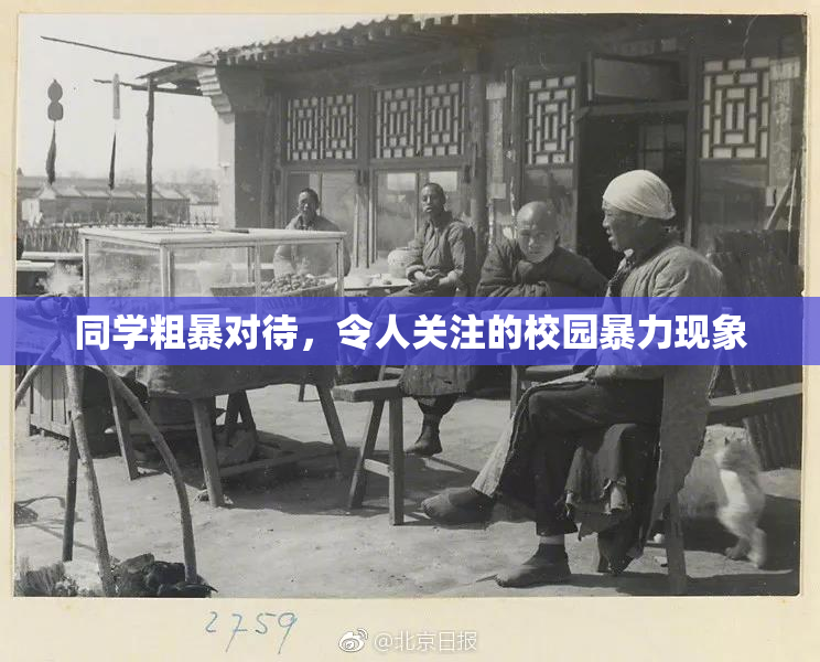 同学粗暴对待，令人关注的校园暴力现象