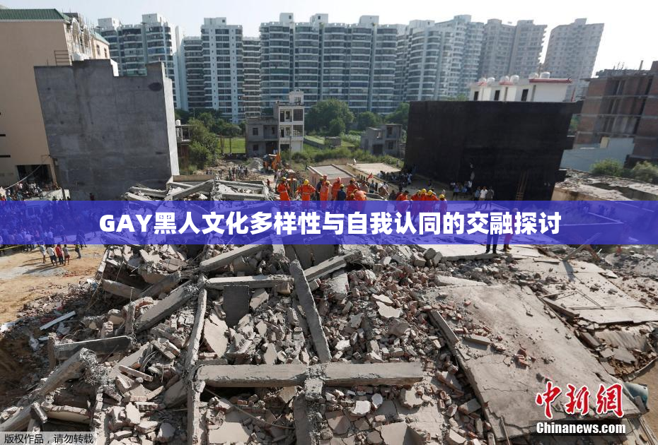 GAY黑人文化多样性与自我认同的交融探讨