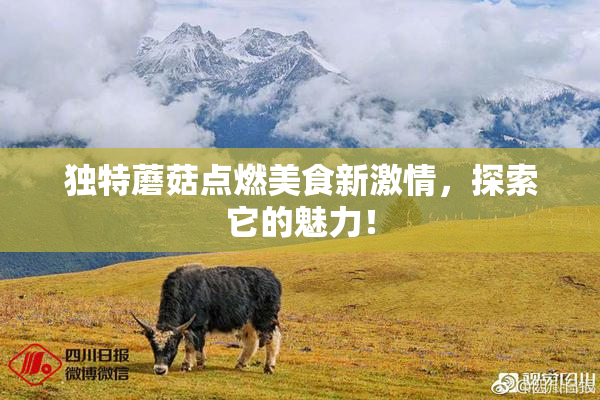 独特蘑菇点燃美食新激情，探索它的魅力！
