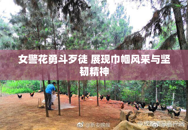 女警花勇斗歹徒 展现巾帼风采与坚韧精神