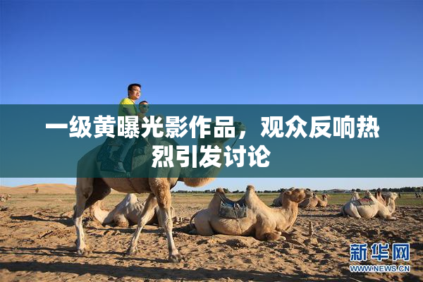 一级黄曝光影作品，观众反响热烈引发讨论