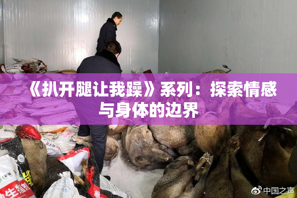 《扒开腿让我躁》系列：探索情感与身体的边界