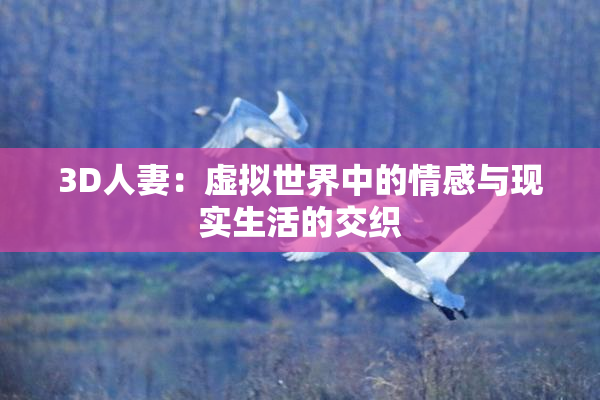 3D人妻：虚拟世界中的情感与现实生活的交织