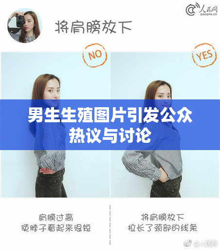 男生生殖图片引发公众热议与讨论