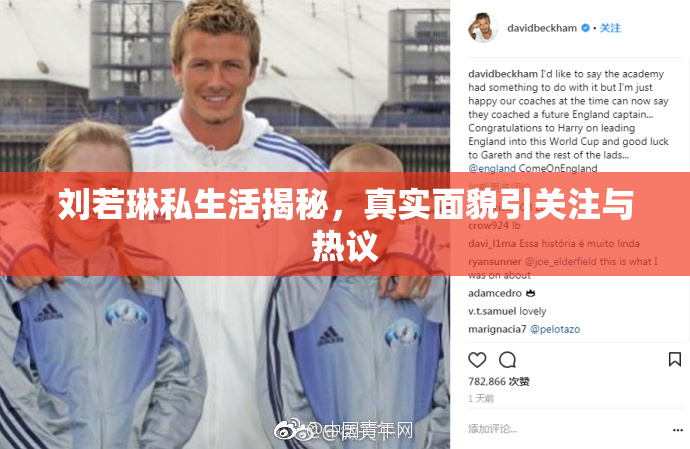 刘若琳私生活揭秘，真实面貌引关注与热议