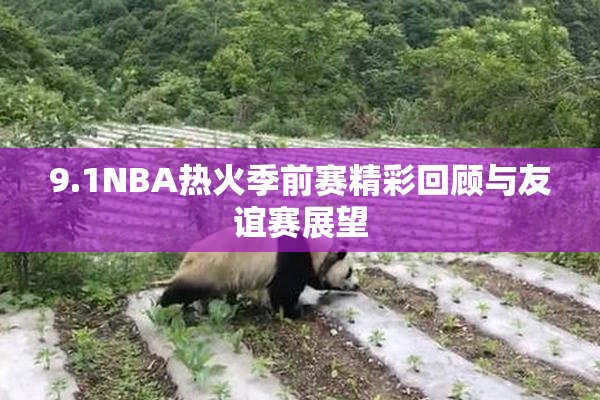 9.1NBA热火季前赛精彩回顾与友谊赛展望