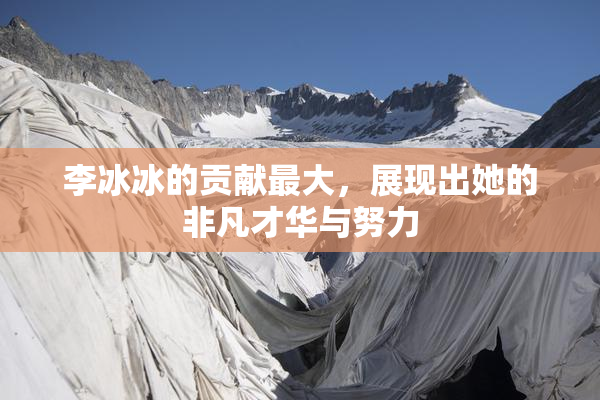 李冰冰的贡献最大，展现出她的非凡才华与努力