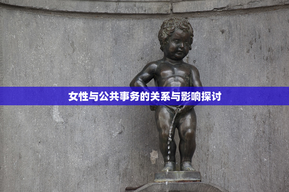 女性与公共事务的关系与影响探讨