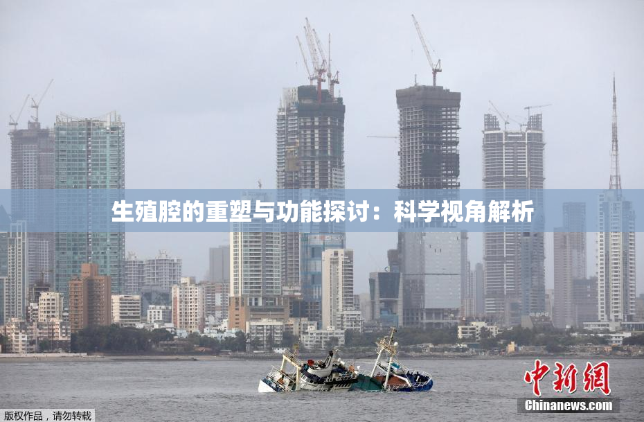 生殖腔的重塑与功能探讨：科学视角解析