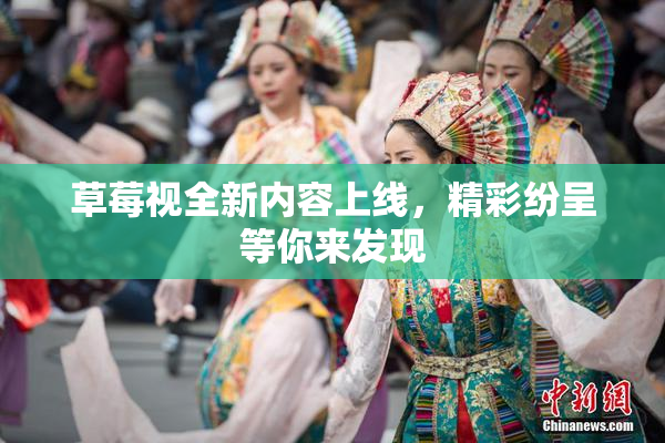 草莓视全新内容上线，精彩纷呈等你来发现