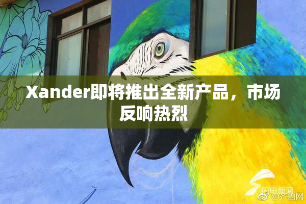 Xander即将推出全新产品，市场反响热烈
