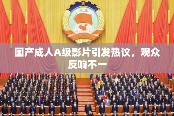 国产成人A级影片引发热议，观众反响不一