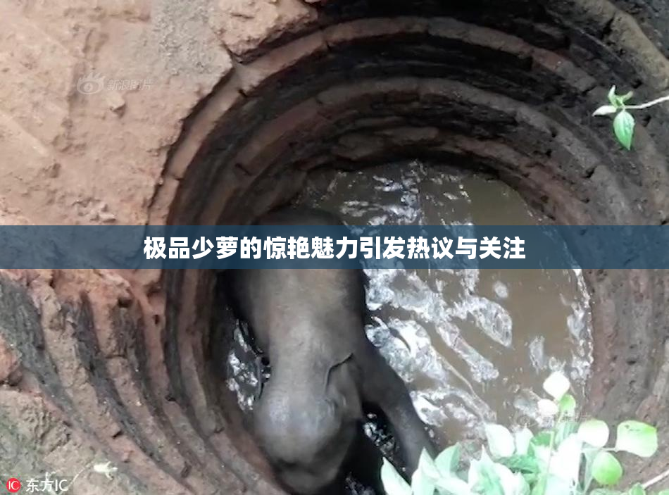 极品少萝的惊艳魅力引发热议与关注