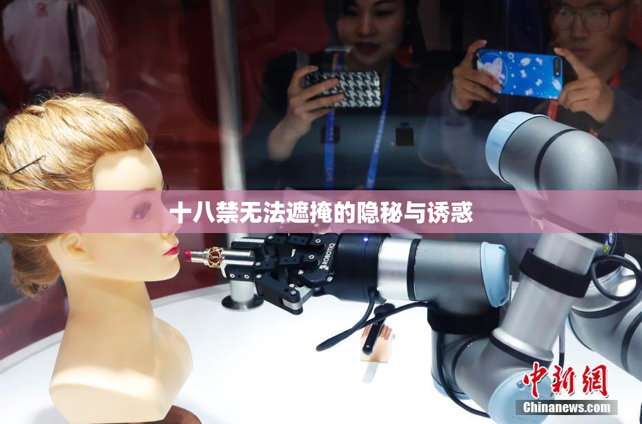 十八禁无法遮掩的隐秘与诱惑