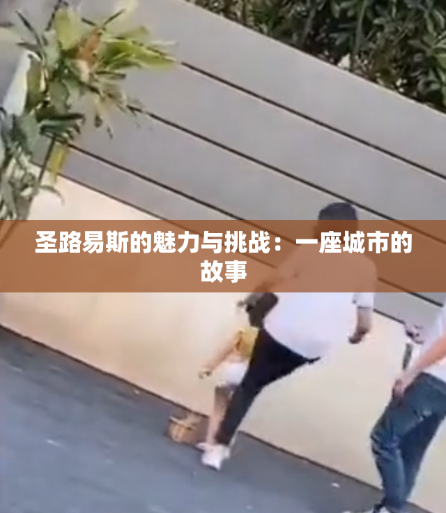 圣路易斯的魅力与挑战：一座城市的故事