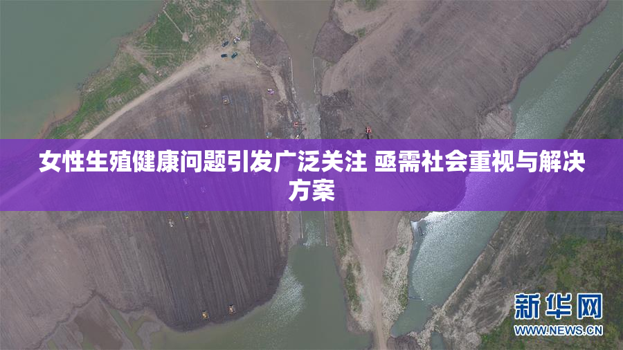 女性生殖健康问题引发广泛关注 亟需社会重视与解决方案