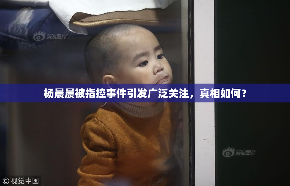 杨晨晨被指控事件引发广泛关注，真相如何？
