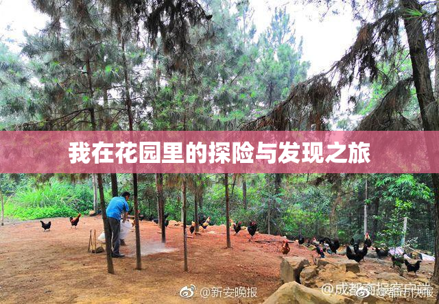 我在花园里的探险与发现之旅