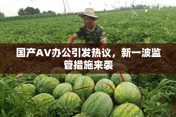 国产AV办公引发热议，新一波监管措施来袭