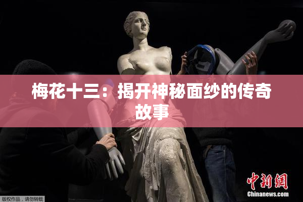 梅花十三：揭开神秘面纱的传奇故事