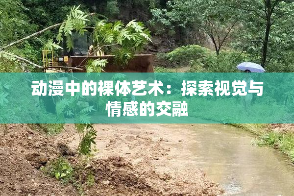 动漫中的裸体艺术：探索视觉与情感的交融