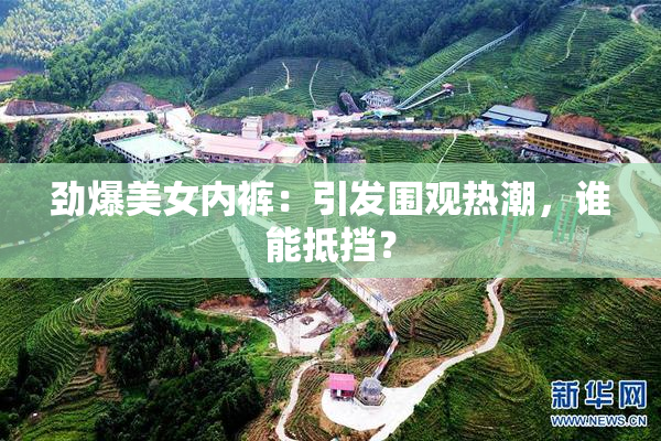 劲爆美女内裤：引发围观热潮，谁能抵挡？