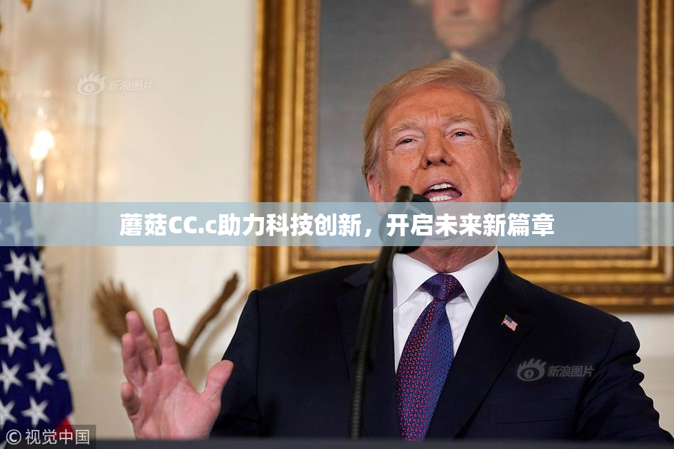 蘑菇CC.c助力科技创新，开启未来新篇章