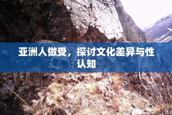 亚洲人做受，探讨文化差异与性认知