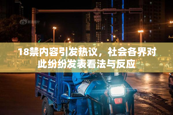 18禁内容引发热议，社会各界对此纷纷发表看法与反应