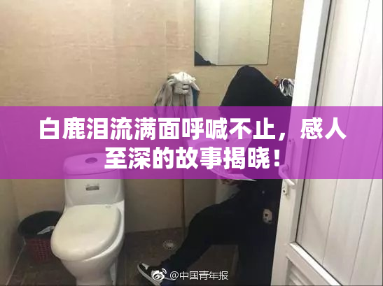 白鹿泪流满面呼喊不止，感人至深的故事揭晓！
