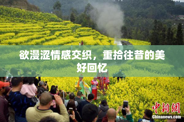 欲漫涩情感交织，重拾往昔的美好回忆