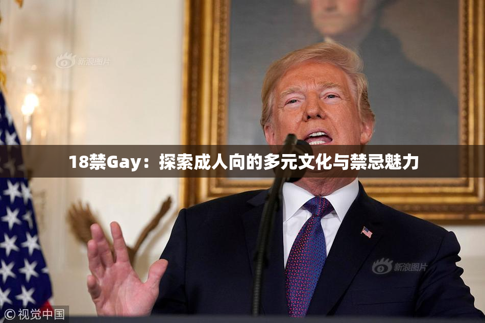 18禁Gay：探索成人向的多元文化与禁忌魅力