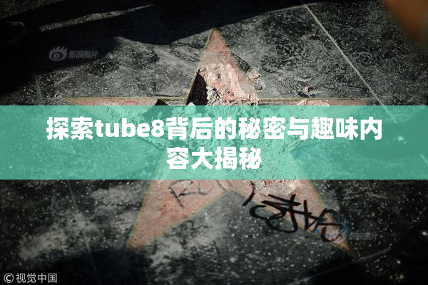 探索tube8背后的秘密与趣味内容大揭秘