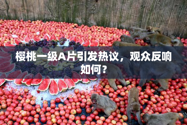 樱桃一级A片引发热议，观众反响如何？
