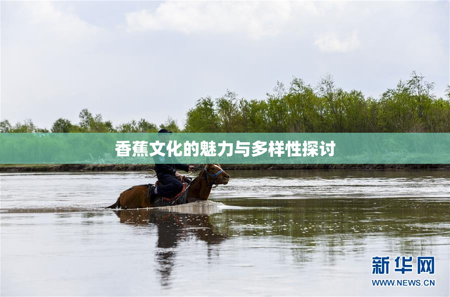 香蕉文化的魅力与多样性探讨