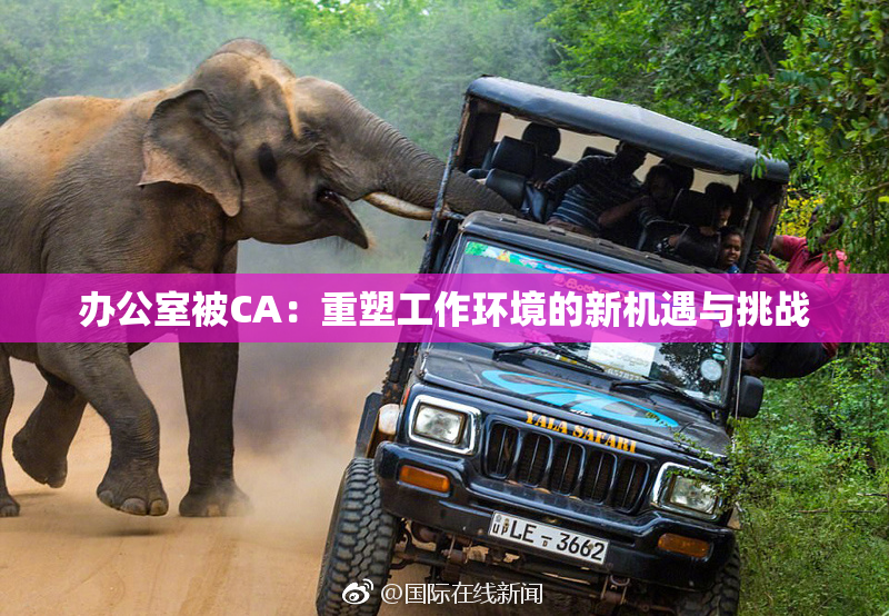 办公室被CA：重塑工作环境的新机遇与挑战