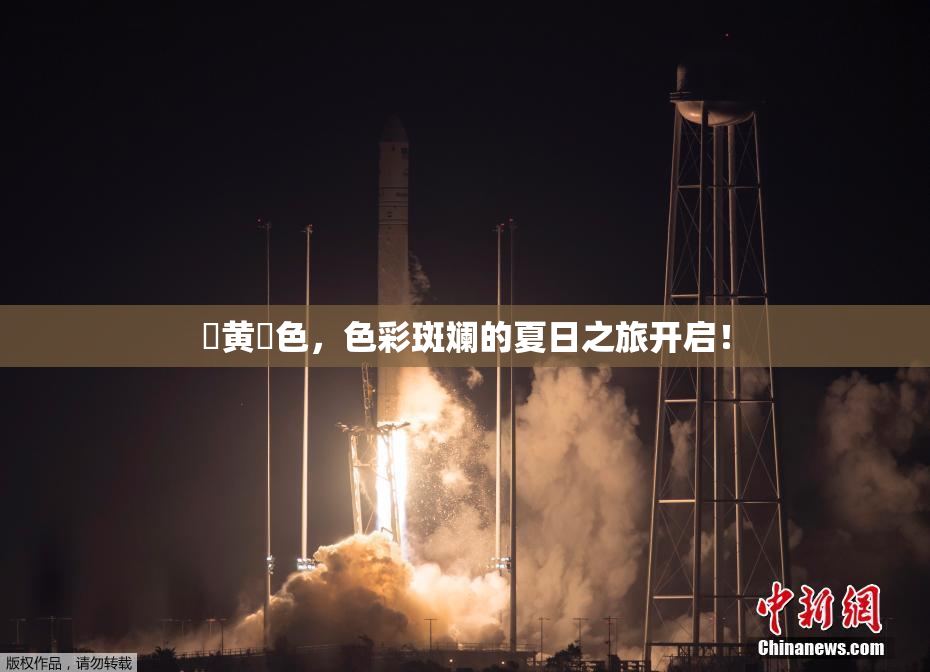 ✿黄✿色，色彩斑斓的夏日之旅开启！