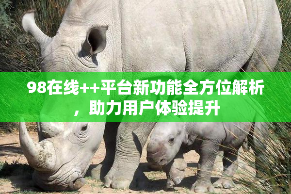 98在线++平台新功能全方位解析，助力用户体验提升