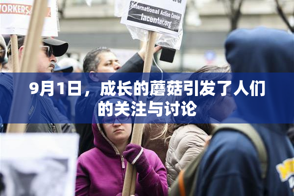 9月1日，成长的蘑菇引发了人们的关注与讨论