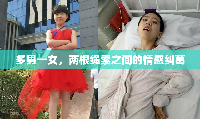 多男一女，两根绳索之间的情感纠葛