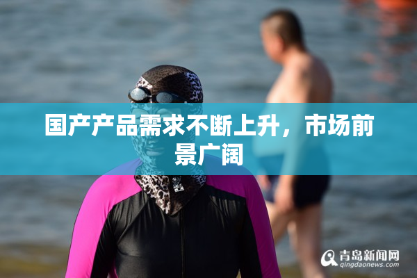 国产产品需求不断上升，市场前景广阔