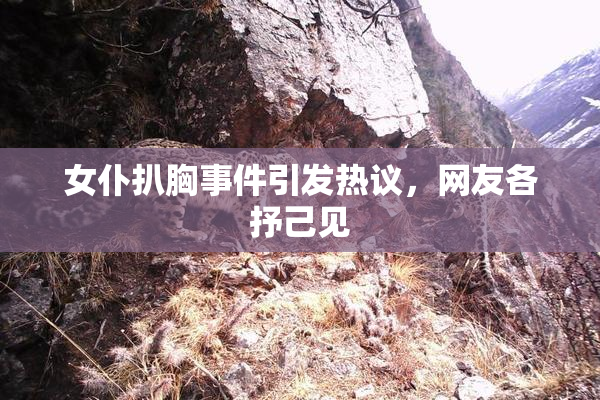 女仆扒胸事件引发热议，网友各抒己见
