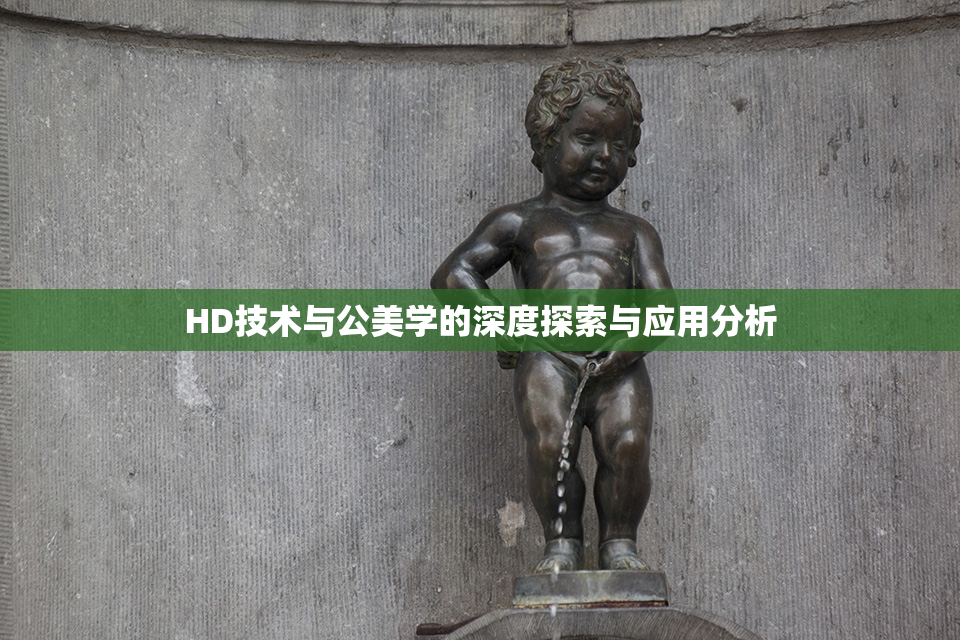HD技术与公美学的深度探索与应用分析