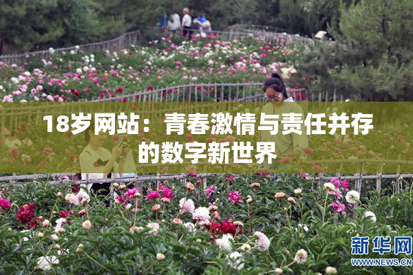 18岁网站：青春激情与责任并存的数字新世界
