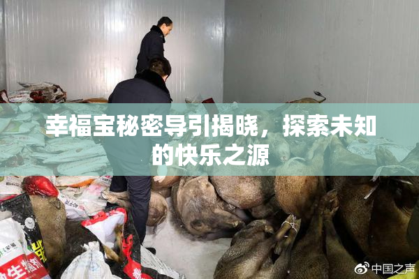 幸福宝秘密导引揭晓，探索未知的快乐之源